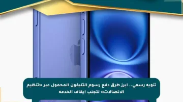 تنويه رسمي.. أبرز طرق دفع رسوم التليفون المحمول عبر «تنظيم الاتصالات» لتجنب إيقاف الخدمة